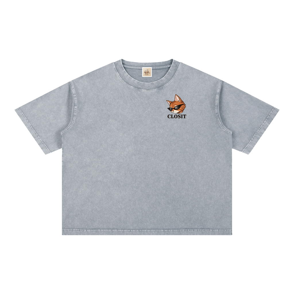 Light Gray oversized T-shirt, front view with small cat graphic and Closit lettering.