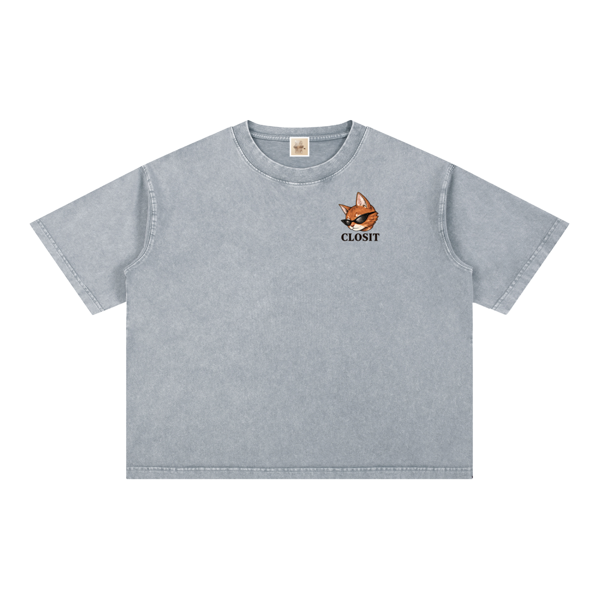 Light Gray oversized T-shirt, front view with small cat graphic and Closit lettering.