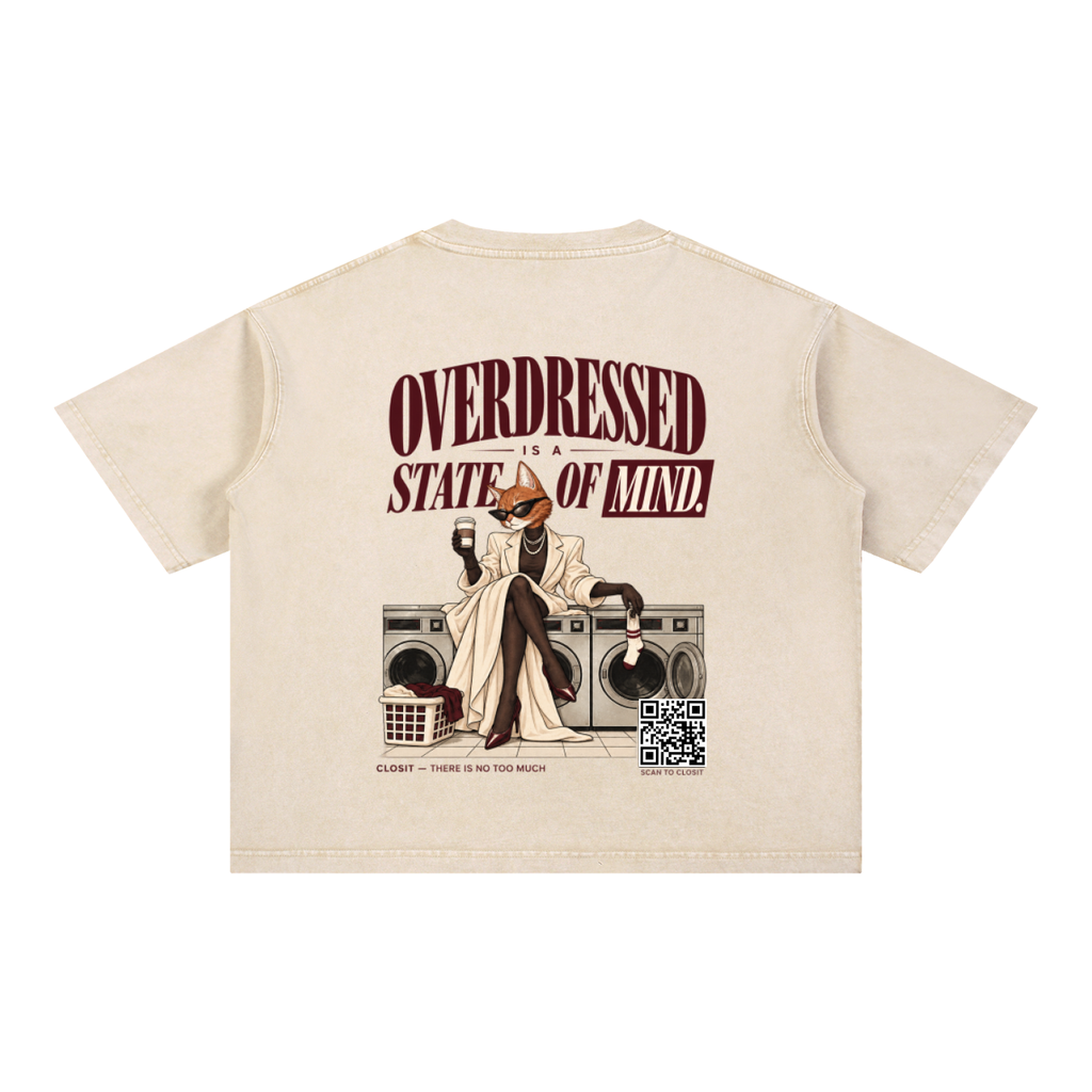 Light Apricot oversized T-shirt, back view with Overdressed Is a State of Mind slogan and cat seated on washing machines.